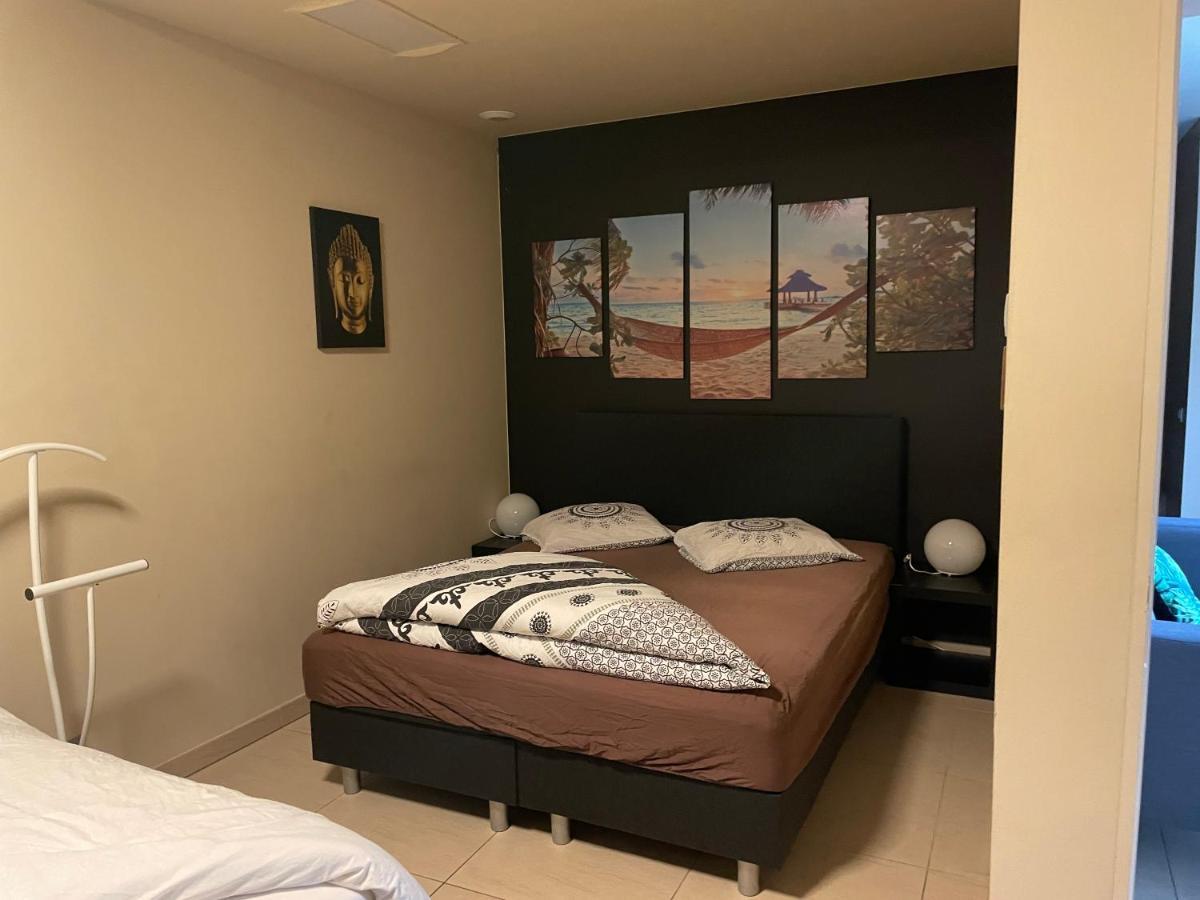 Vlaamse Ardennen Vakantiehuis Casa Caliente Met Wellness Avelgem Zewnętrze zdjęcie